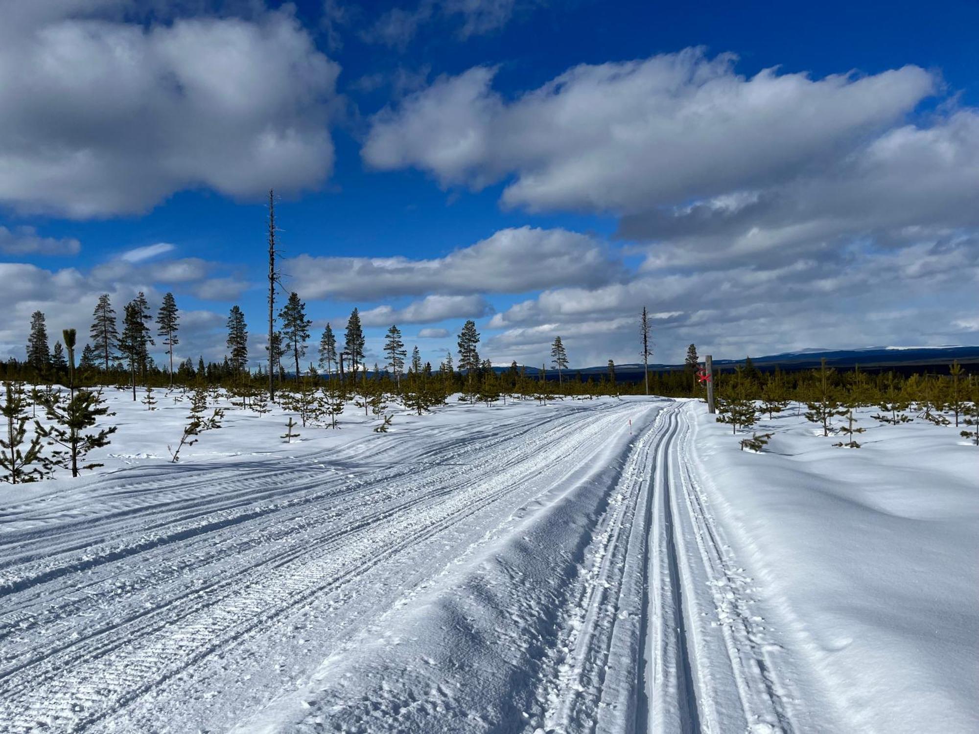 Knappgarden Särna Buitenkant foto