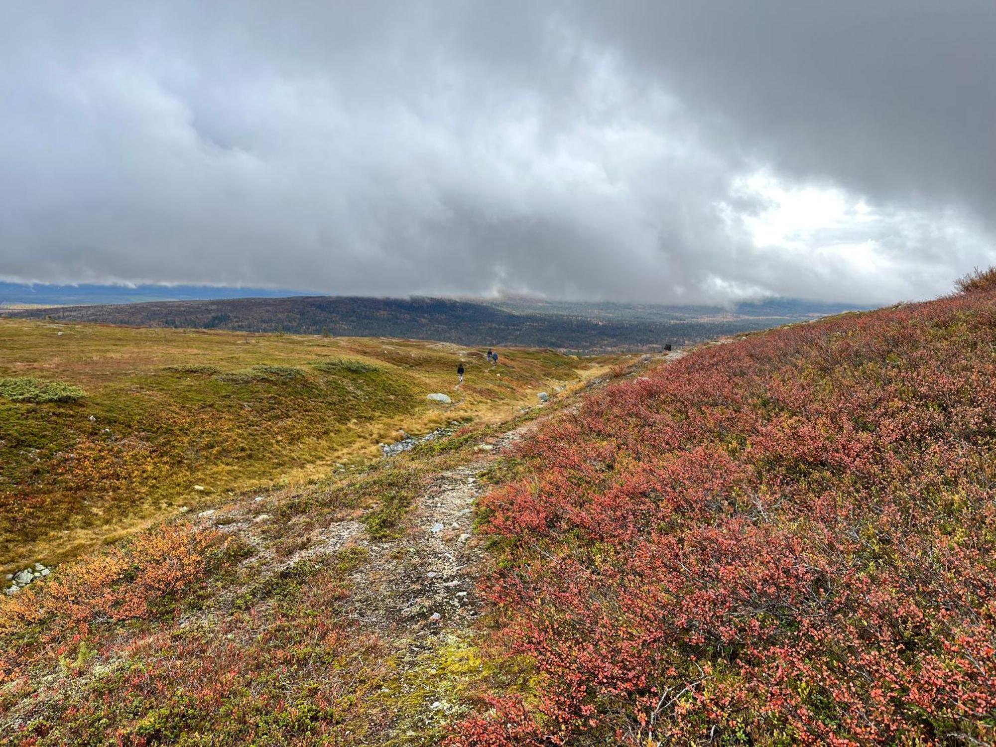 Knappgarden Särna Buitenkant foto