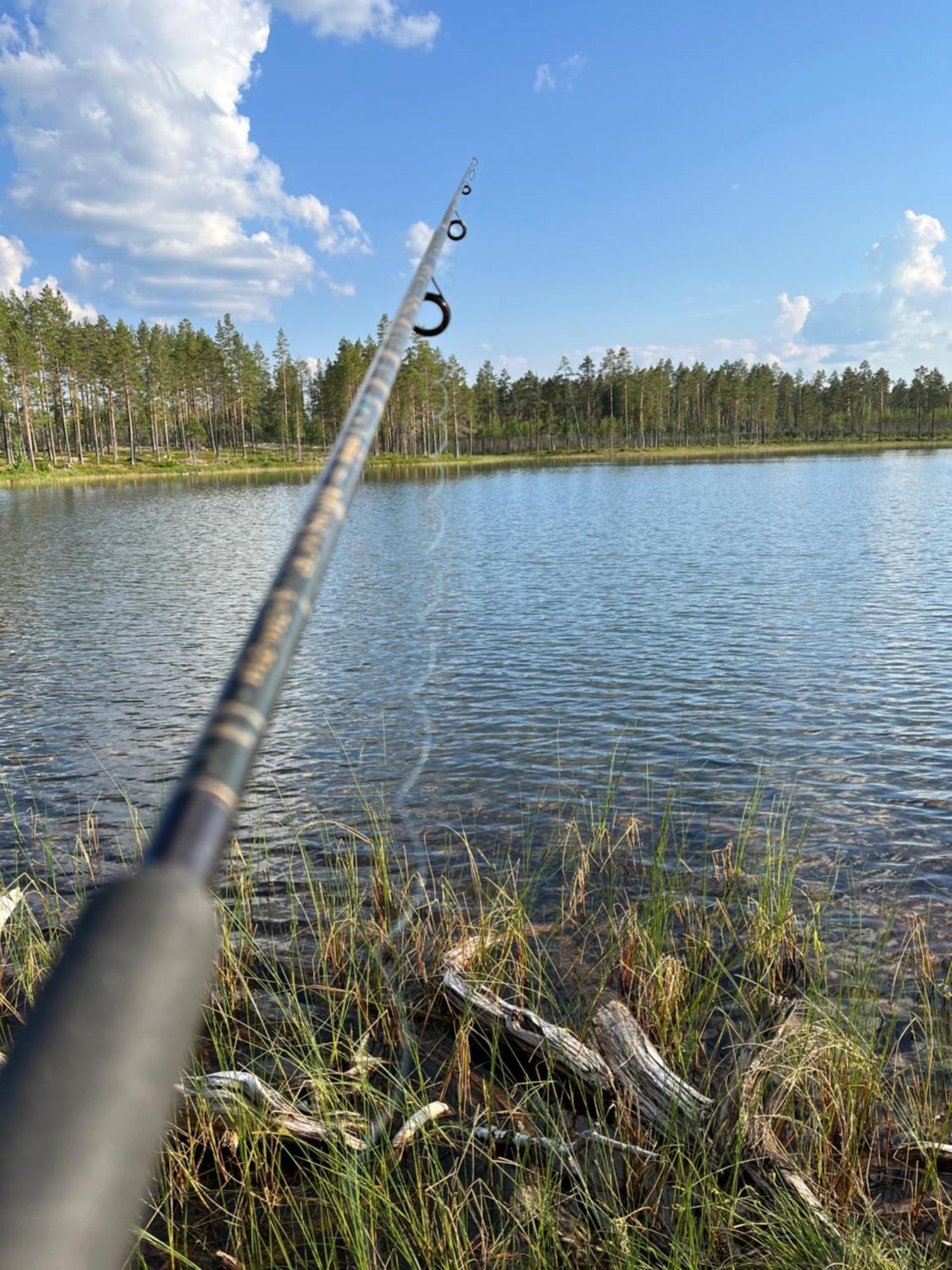 Knappgarden Särna Buitenkant foto