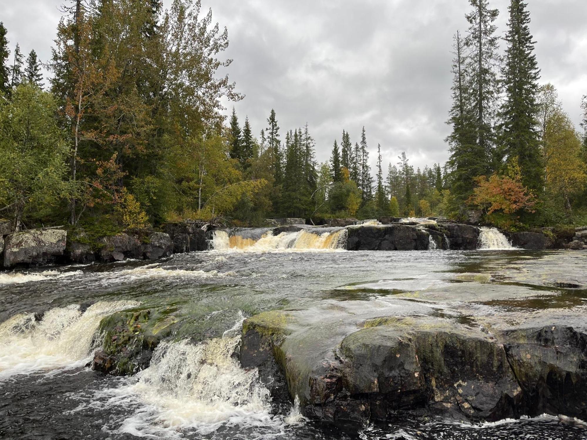 Knappgarden Särna Buitenkant foto