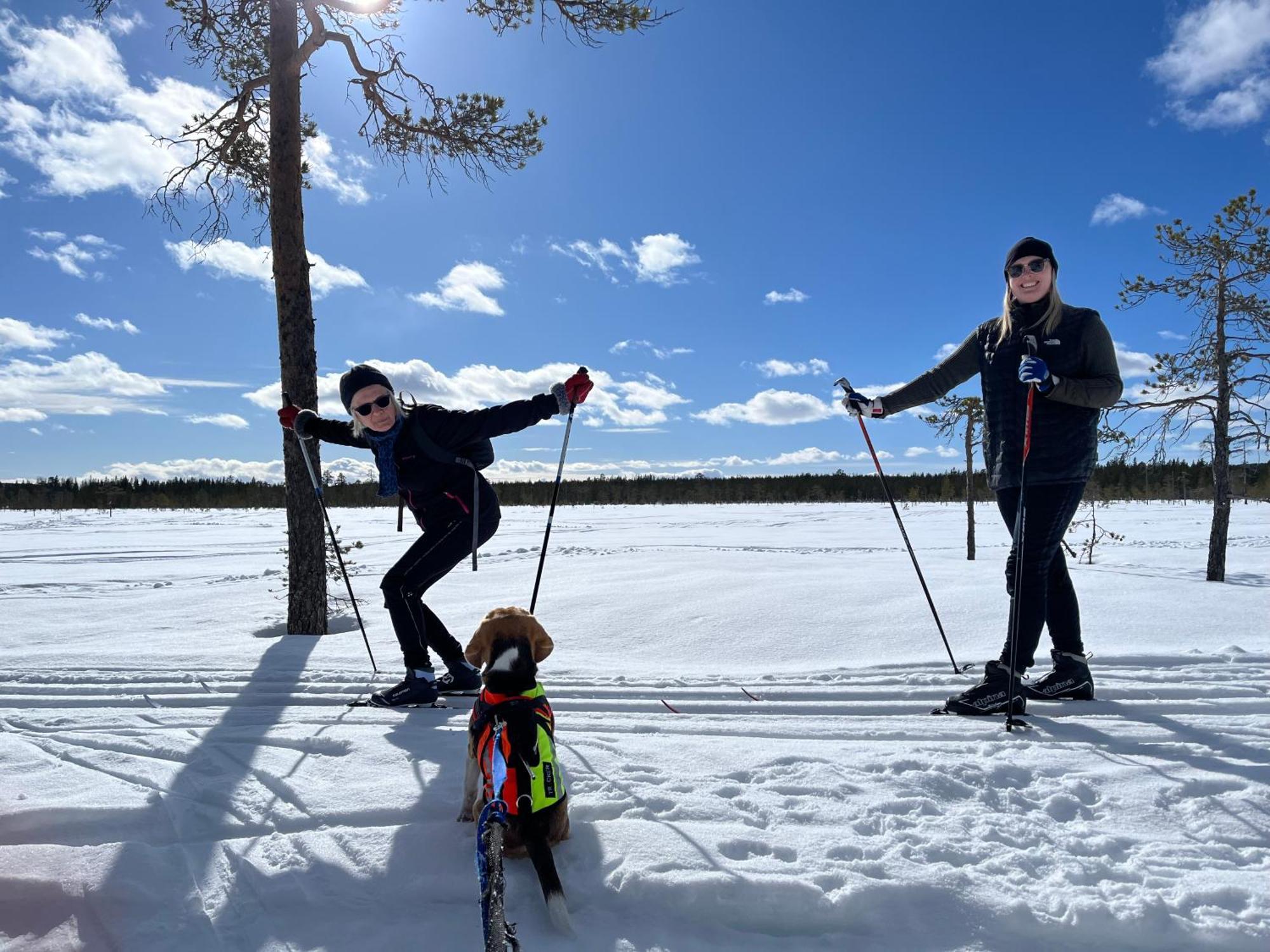 Knappgarden Särna Buitenkant foto