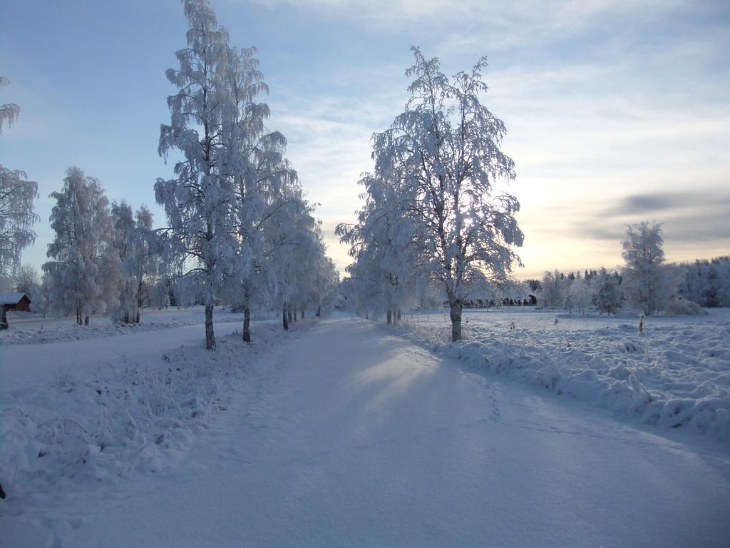 Knappgarden Särna Buitenkant foto