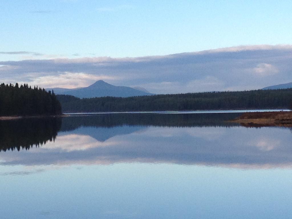 Knappgarden Särna Buitenkant foto